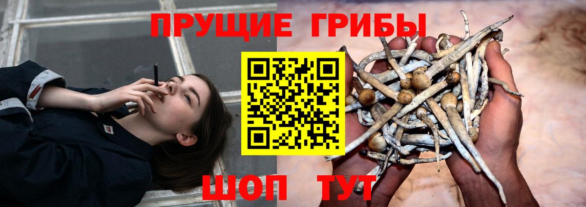 Галлюциногенные грибы ЛСД  Псилоцибиновые грибы Magic Shrooms  Абинск  Вход с VPN 