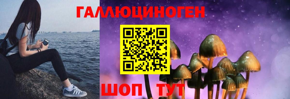 Галлюциногенные грибы Magic Shrooms Абинск